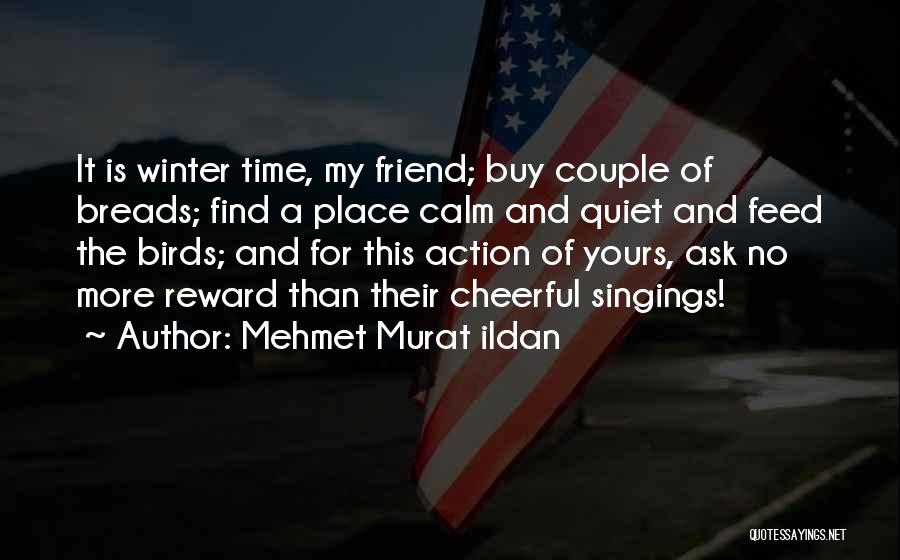 Quiet Winter Quotes By Mehmet Murat Ildan