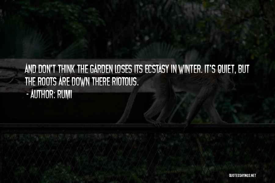 Quiet Winter Quotes By Rumi