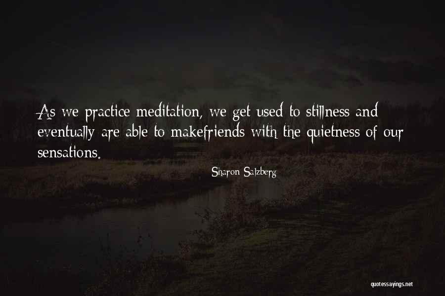 Quietness And Stillness Quotes By Sharon Salzberg Quietness And Stillness Quotes By Sharon Salzberg