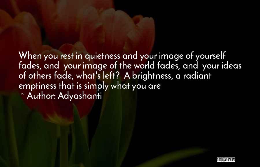 Quietness Quotes By Adyashanti