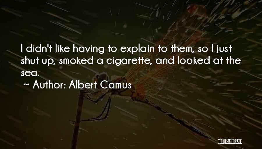 Quietness Quotes By Albert Camus