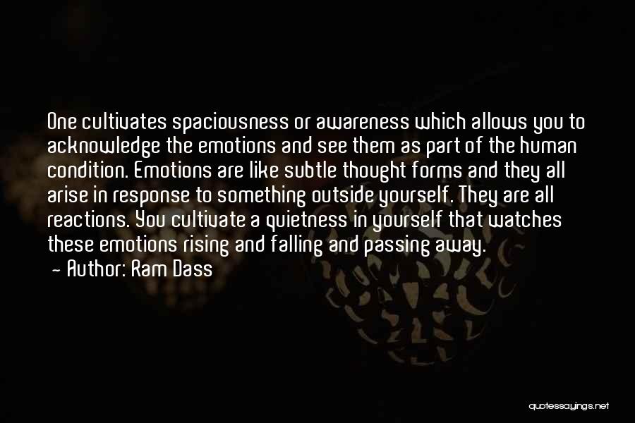 Quietness Quotes By Ram Dass