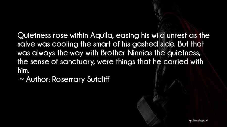 Quietness Quotes By Rosemary Sutcliff
