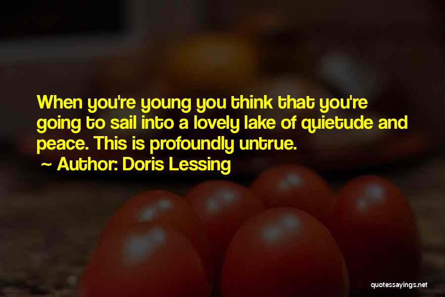 Quietude Quotes By Doris Lessing