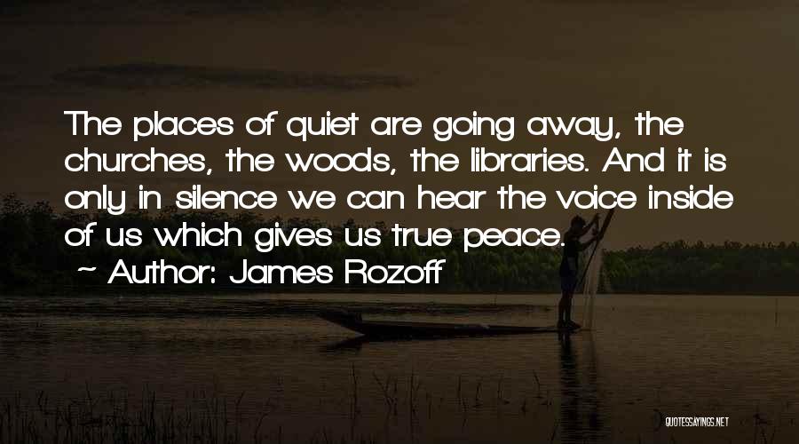 Quietude Quotes By James Rozoff