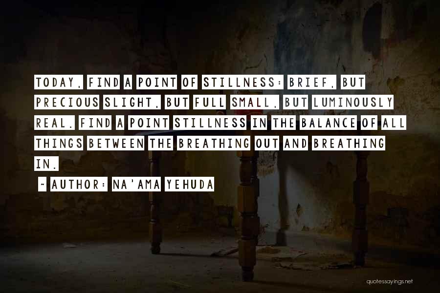 Quietude Quotes By Na'ama Yehuda
