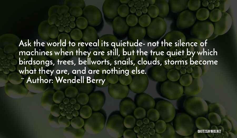 Quietude Quotes By Wendell Berry