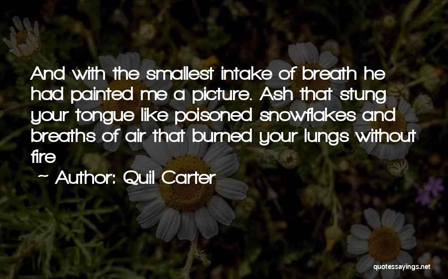 Quil Carter Quotes 461325