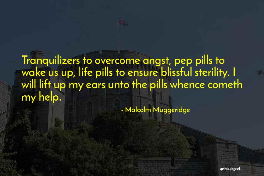 Quilico Rigoletto Quotes By Malcolm Muggeridge Quilico Rigoletto Quotes By Malcolm Muggeridge
