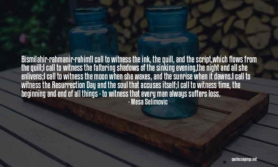 Quill Quotes By Mesa Selimovic