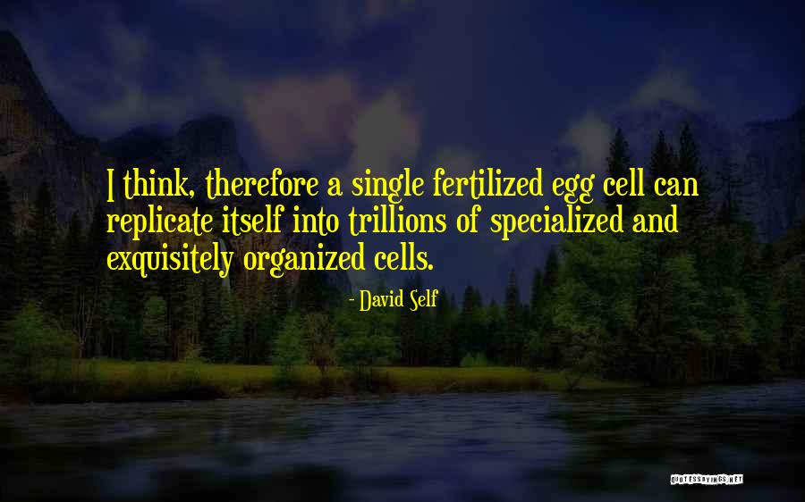 Quillen College Quotes By David Self Quillen College Quotes By David Self