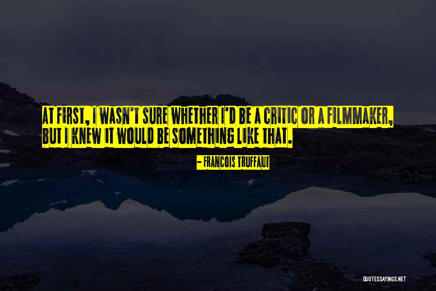 Quillen Rehabilitation Quotes By Francois Truffaut Quillen Rehabilitation Quotes By Francois Truffaut