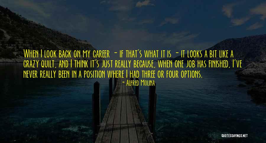 Quilt Quotes By Alfred Molina Quilt Quotes By Alfred Molina