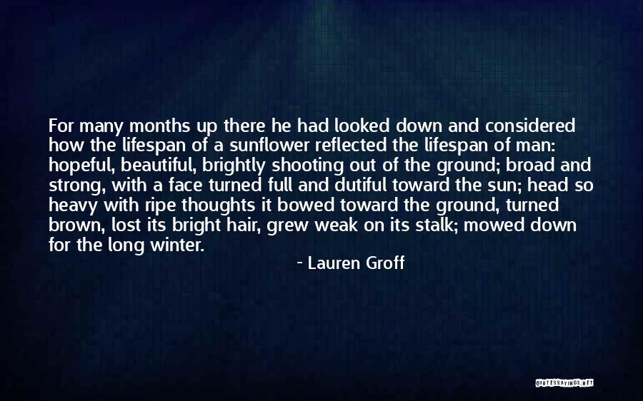 Quincella Ivy Quotes By Lauren Groff Quincella Ivy Quotes By Lauren Groff