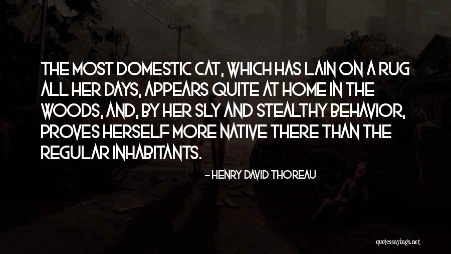Quinkidink Quotes By Henry David Thoreau Quinkidink Quotes By Henry David Thoreau