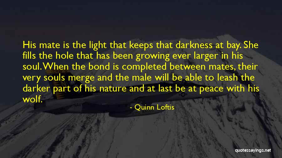 Quinn Loftis Quotes 1757739