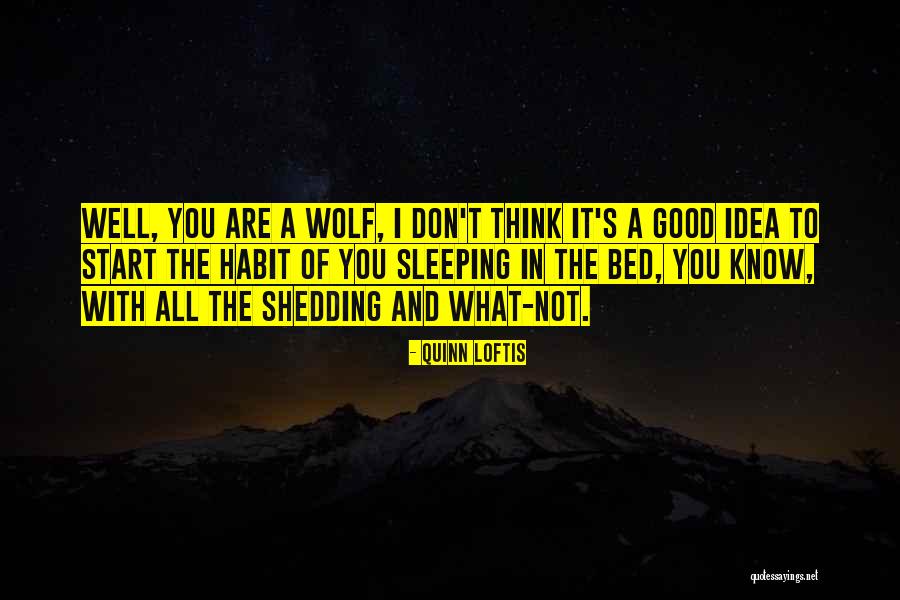 Quinn Loftis Quotes 993453 Quinn Loftis Quotes 993453