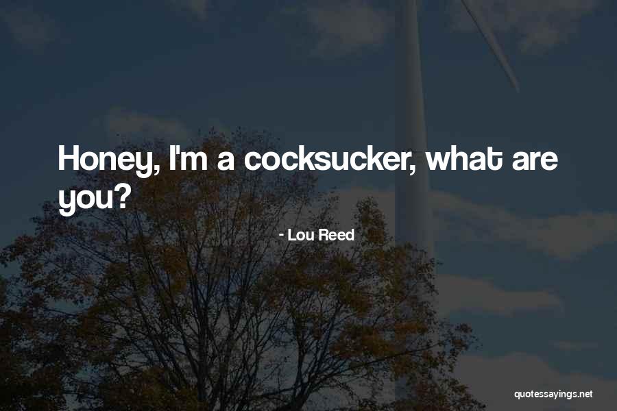 Quinnesec Quotes By Lou Reed Quinnesec Quotes By Lou Reed
