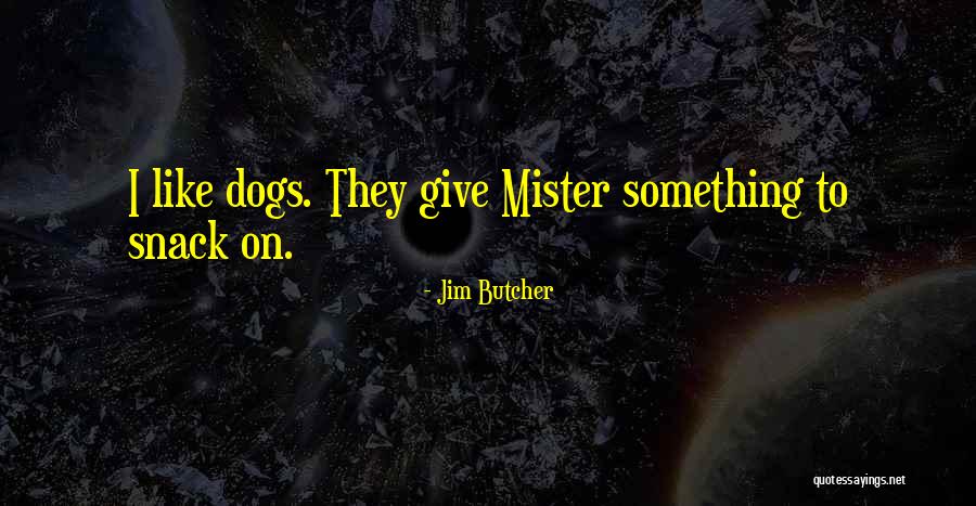 Quinnetta Quotes By Jim Butcher Quinnetta Quotes By Jim Butcher