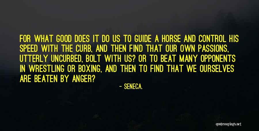 Quinonez Management Quotes By Seneca. Quinonez Management Quotes By Seneca.