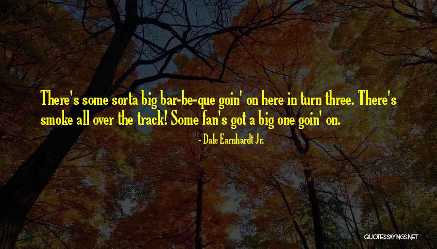 Quirino State Quotes By Dale Earnhardt Jr. Quirino State Quotes By Dale Earnhardt Jr.