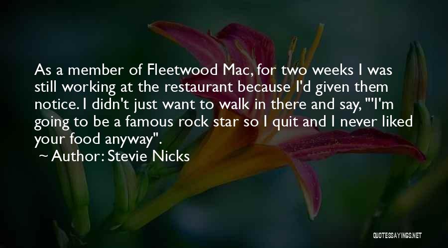 Quit Working Quotes By Stevie Nicks