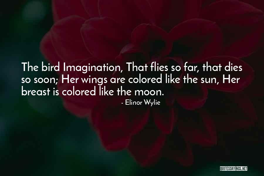 Quitaba Roo Quotes By Elinor Wylie Quitaba Roo Quotes By Elinor Wylie