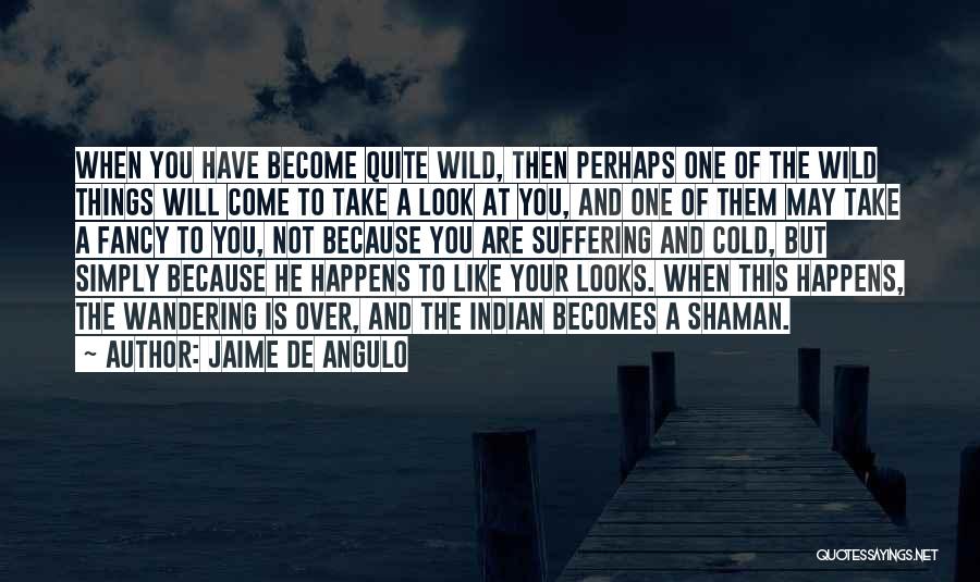 Quite A Look Quotes By Jaime De Angulo