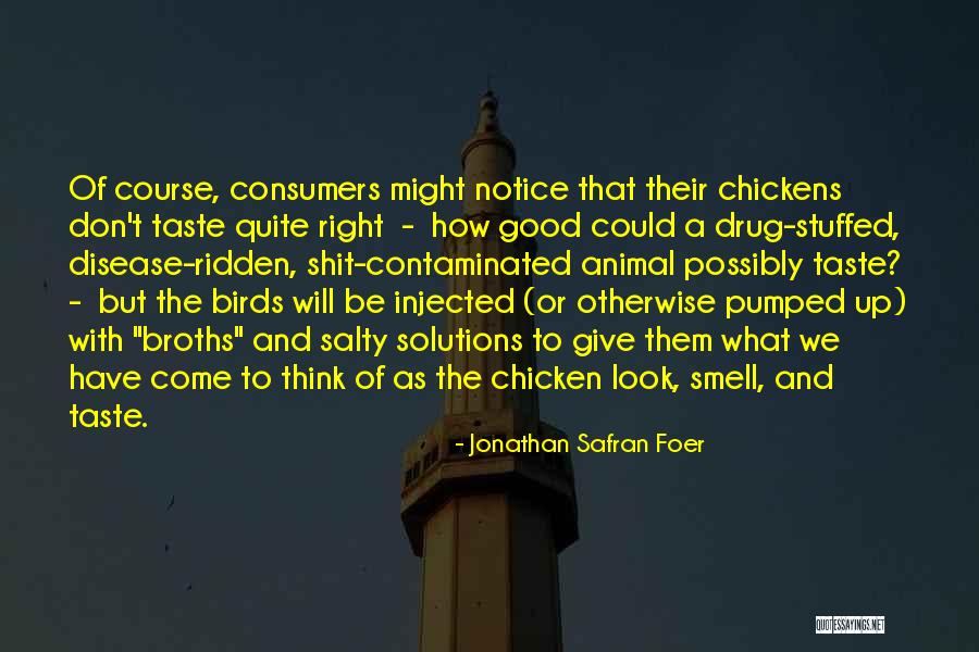Quite A Look Quotes By Jonathan Safran Foer Quite A Look Quotes By Jonathan Safran Foer
