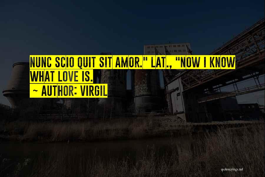 Quitting Quotes By Virgil