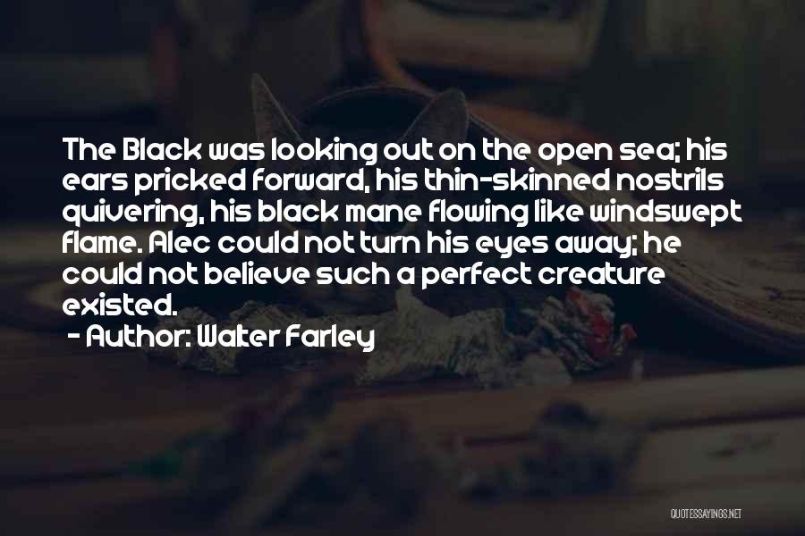 Quivering Quotes By Walter Farley Quivering Quotes By Walter Farley