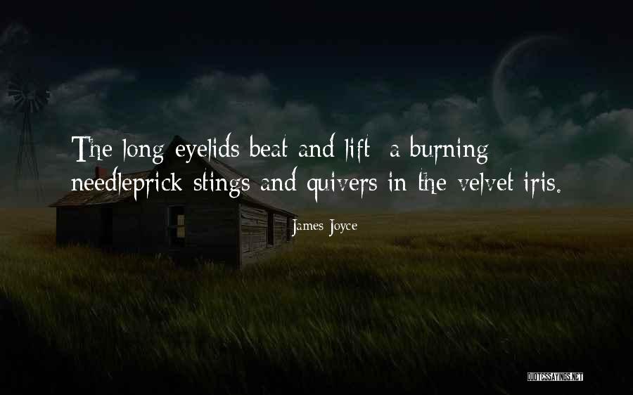 Quivers Inc Quotes By James Joyce Quivers Inc Quotes By James Joyce