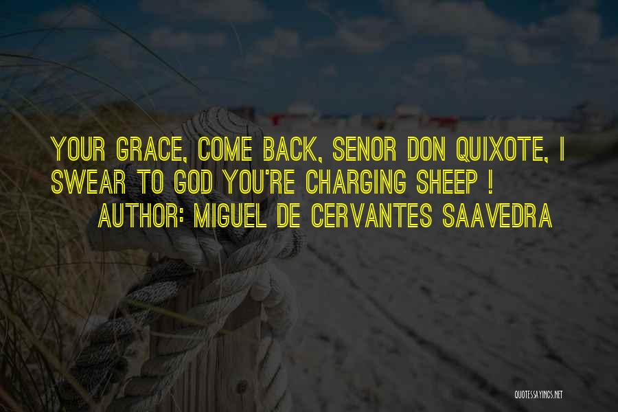 Quixote Quotes By Miguel De Cervantes Saavedra