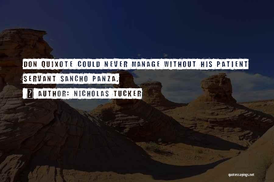 Quixote Quotes By Nicholas Tucker