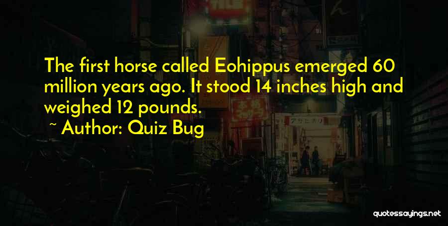 Quiz Bug Quotes 2194114