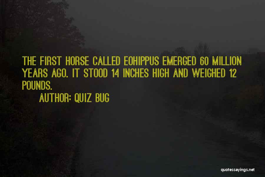 Quiz Quotes By Quiz Bug