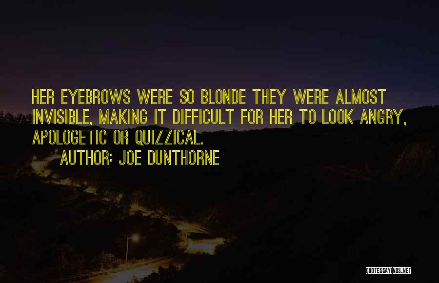 Quizzical Quotes By Joe Dunthorne