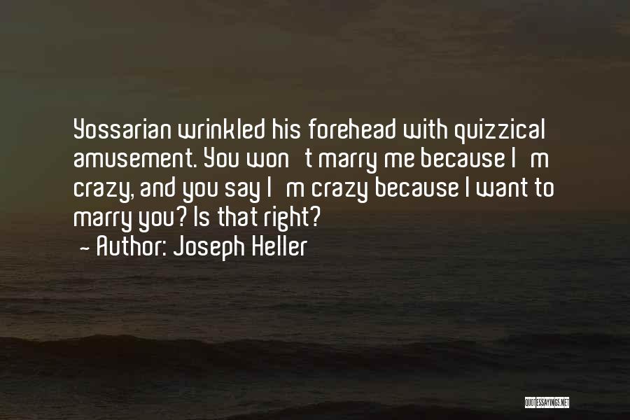 Quizzical Quotes By Joseph Heller