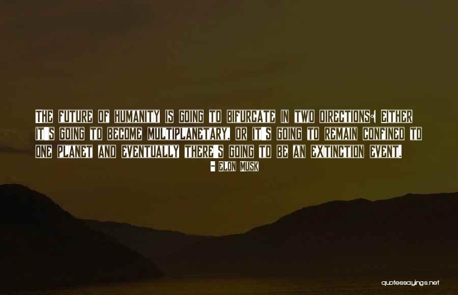Qulub Quotes By Elon Musk Qulub Quotes By Elon Musk