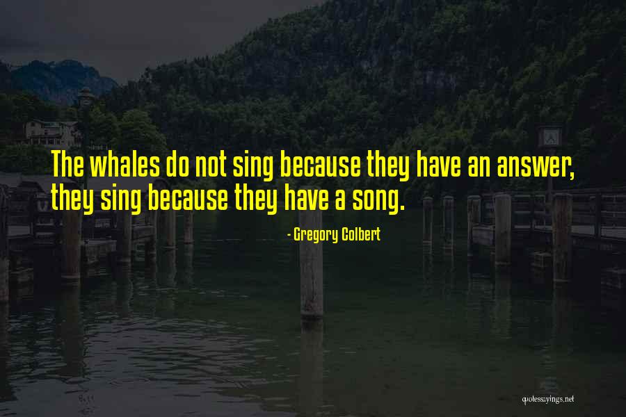 Quote Against War Quotes By Gregory Colbert Quote Against War Quotes By Gregory Colbert
