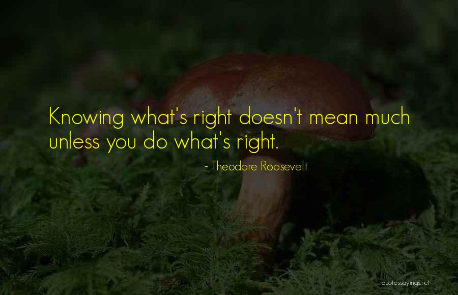 Quotes About Dance Quotes By Theodore Roosevelt Quotes About Dance Quotes By Theodore Roosevelt