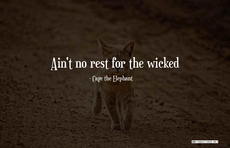 Quotes About Perfection Quotes By Cage The Elephant Quotes About Perfection Quotes By Cage The Elephant