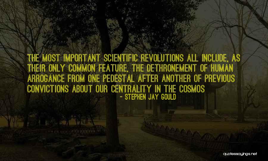 Quoting His Grandmother Quotes By Stephen Jay Gould Quoting His Grandmother Quotes By Stephen Jay Gould
