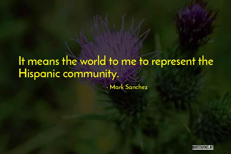 Quoyle Essay Quotes By Mark Sanchez Quoyle Essay Quotes By Mark Sanchez