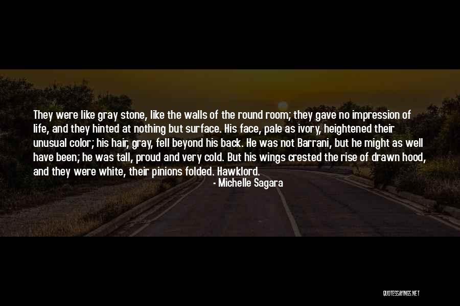 Quran Chastity Quotes By Michelle Sagara Quran Chastity Quotes By Michelle Sagara
