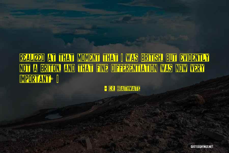 R A E Quotes By E.R. Braithwaite R A E Quotes By E.R. Braithwaite