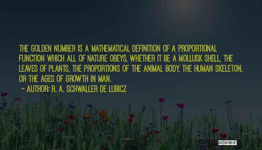 R. A. Schwaller De Lubicz Quotes 1425479