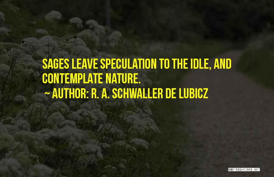 R. A. Schwaller De Lubicz Quotes 1596151