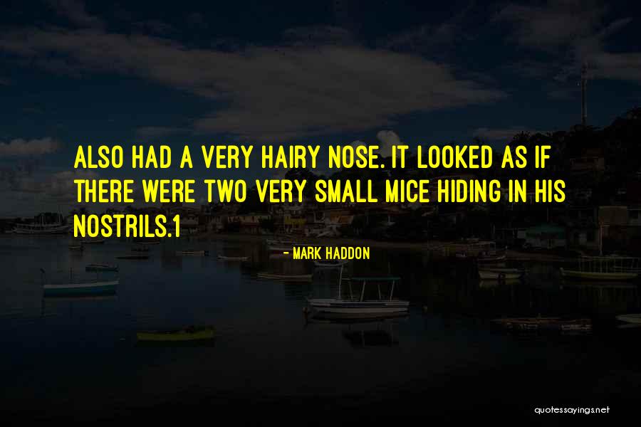 R B G Quotes By Mark Haddon R B G Quotes By Mark Haddon