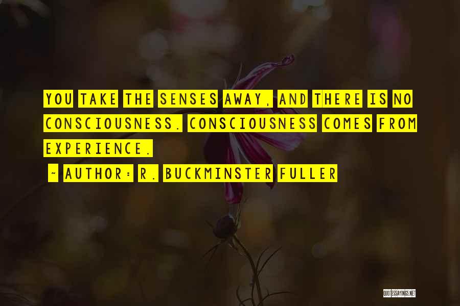 R. Buckminster Fuller Quotes 1483302